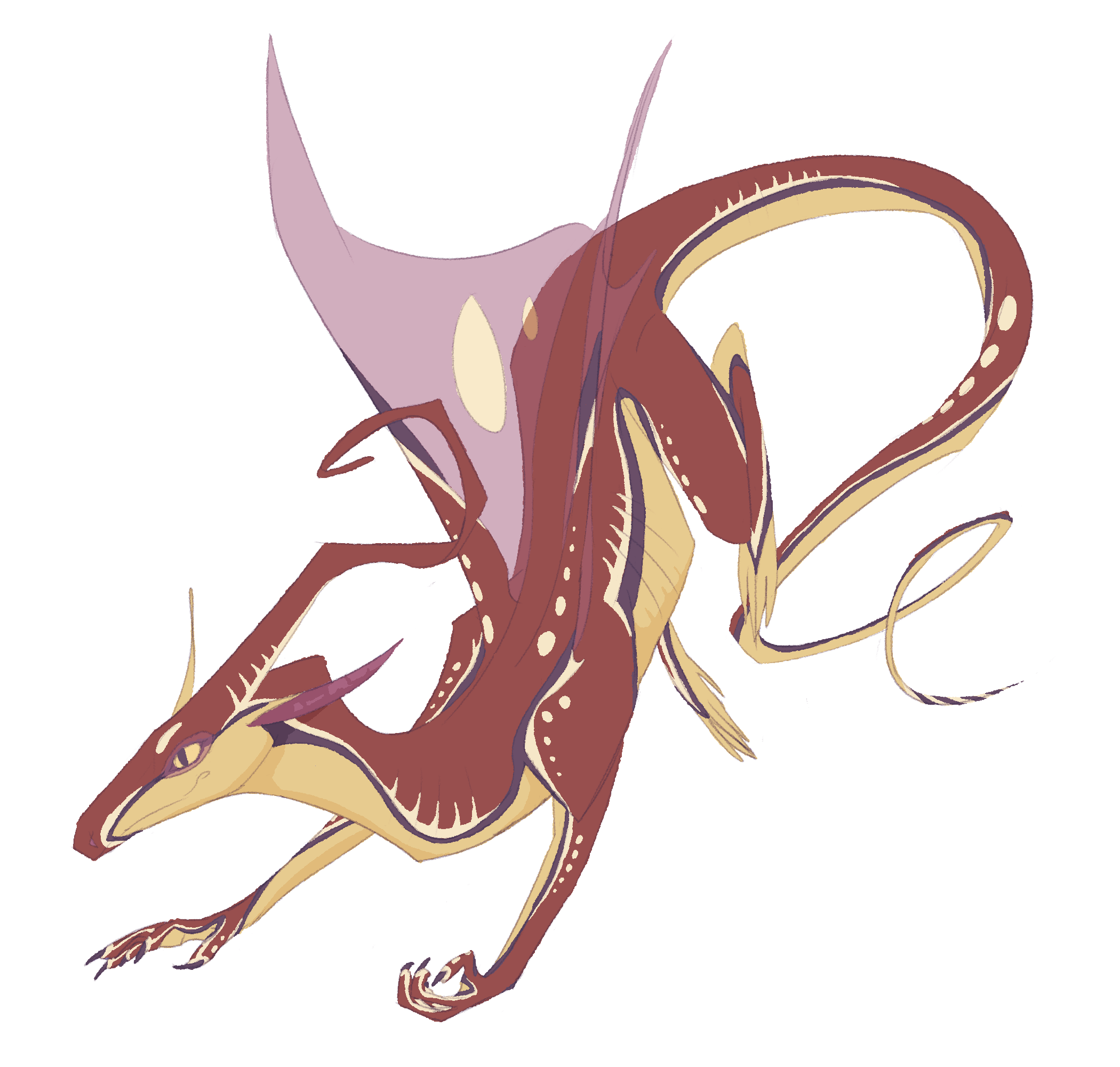 drawing of a slim reddish dragon-like creature with a cream-colored underbelly and a long thin tail. it has a dark purple-ish contour line running between the red and cream parts, which follow the outside of the legs as well. there are also pale white-ish marks adjacent to the dark contour, with spots and rib-like patterns breaking up the flow on the red side. it's wings are transparent red with two yellow eyespots. it appears to be somewhere between a jumping and running position, with a vaguely s-like curved shape.